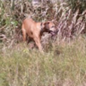 Meet your Posher, Jeffrey